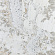 Керамогранит Cr.Scandic Gold (Leviglass) Rect.
